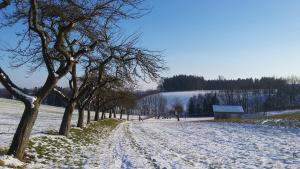 Pension Weinbauer durante l'inverno