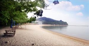 Naturlandskabet i nærheden af campingpladsen