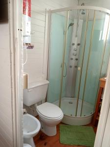 a bathroom with a toilet and a shower at Cabaña SOPHIA in Tigre +13 photos