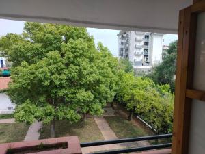 a view of a tree from a balcony at I Picarielli in Salerno