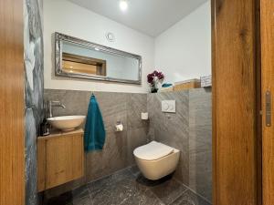 a bathroom with a toilet and a sink and a mirror at Feriendomizil Garber-Bründl in Oberau +5 photos