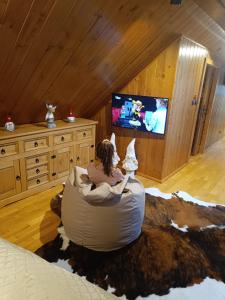 TV a/nebo společenská místnost v ubytování Goralská Vila Lomnica