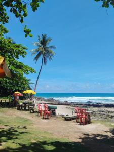 a beach with chairs and tables and a palm tree at Aconchego Praia da Concha, Ilhéus - BA in Ilhéus +21 photos