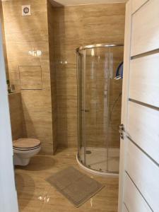 een badkamer met toilet en glazen douche bij Modern Studio in City Center in Košice