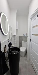 a bathroom with a sink and a toilet and a mirror at Mini Agat in Lwówek Śląski +7 photos