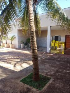 a palm tree in front of a building with yellow chairs at Rancho Costa in Pereira Barreto +8 photos