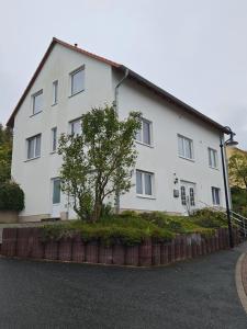 a white building with a tree in front of it at Alfeld City Apartment in Alfeld