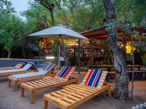a group of wooden lounge chairs and an umbrella at Kruger Maroela Lodge in Marloth Park