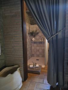 a bathroom with a shower with a blue curtain at El Racó dels Mussols 1 in Canet de Adri +32 photos