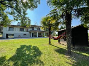 a hammock hanging between two palm trees in a yard at B&B Da Leone in Palazzolo dello Stella