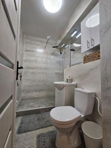 Un baño con inodoro, lavabo y ducha. en Urban Luxury Escape, en Piatra Neamţ