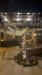 Zahrada ubytování Ξενώνας Νικόλ