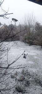 a snow covered field with a bird sitting on a tree branch at Rigó Nyaralóház in Lakitelek