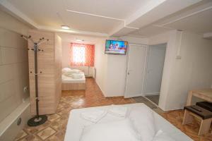 a room with a bathroom with a shower and a tv at La David Straja in Straja
