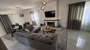 a living room with a couch and a fireplace at Το ΦΑΡΑΓΓΙ Του ΠΑΡΝΑΣΣΟΥ in Velítsa