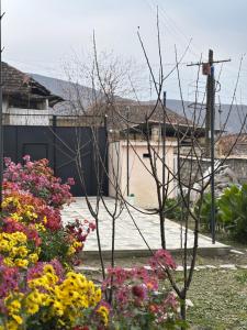einen Garten mit bunten Blumen im Hof in der Unterkunft Second House in Şəki