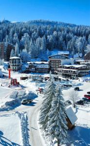 Το Apartment Violet Jahorina τον χειμώνα