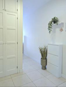 a room with white cabinets and a potted plant at MI CASA ORLANDO Fañabe in Adeje