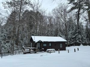 Paddler's Rest Lakeside Cabins and Motel v zimě