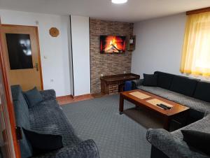 Ruang duduk di Apartmani ( VILA ) Vucko