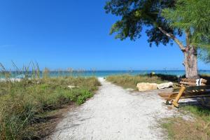 a bench sitting on a beach next to a tree at Peacock Way bungalow in Holmes Beach