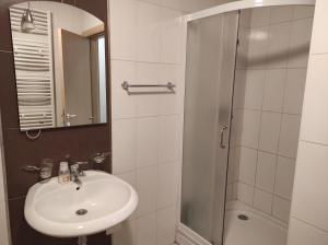 a bathroom with a sink and a shower at Gorštak in Kopaonik +103 photos