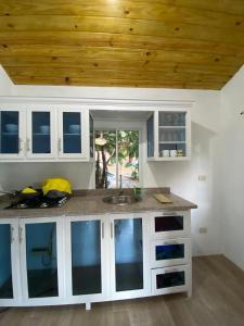 Kuchyň nebo kuchyňský kout v ubytování Villas Don Che, 2 villas