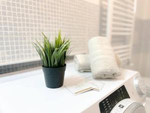 a plant sitting on a counter next to a microwave at Casa Vico Mandorla in Savona