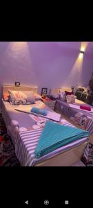 Fotografie z fotogalerie ubytování Hamoo guest House hotel v destinaci Asuán