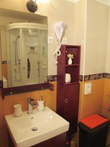 a bathroom with a sink and a shower at Apartment Villa Edmea in Rijeka