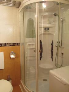 La salle de bains est pourvue d'une douche avec une porte en verre. dans l'établissement Apartment Villa Edmea, à Rijeka