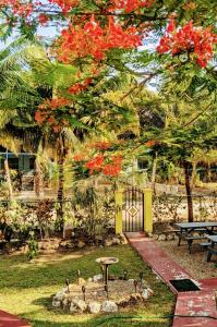 eine Gruppe von Vögeln, die um einen Park mit einem Picknicktisch stehen in der Unterkunft Garden Cottage in San Ignacio + 27 Fotos