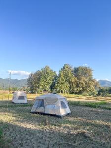 Příroda nedaleko luxury tent