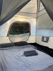 une grande tente blanche avec un lit à l'intérieur dans l'établissement Camp View Mountain - Sell Experience By Paddy Fields Haven - Natures Nest, à Pai
