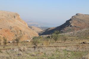 Imagen de la galería de Switzerland In The Arbel, en Arbel