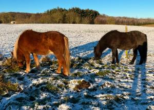 Galería fotográfica de Bakkely en Hjortshøj