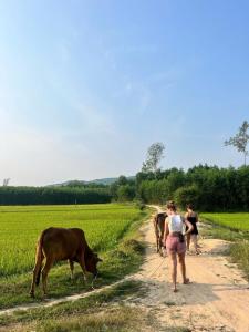 Billede fra billedgalleriet på The Hygge Farm i Dien Ban + 20 billeder
