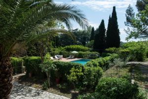 a garden with a pool and a palm tree at La Villa Plaisance - maison et Chambres d hôtes à proximité de Châteaneuf-du-Pape in Bédarrides