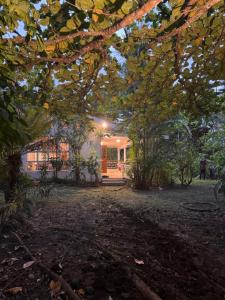 Aed väljaspool majutusasutust The Garvey Grove - Domain Suva - a Kidsfirst Apartments Standalone Home