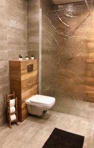 Un baño con inodoro blanco y ducha. en Apartament Ryneczek Bieszczad, en Ustrzyki Dolne