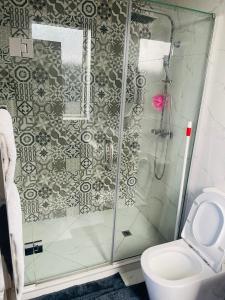 a bathroom with a shower and a toilet at Flat bush holiday apartment in Auckland