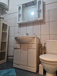 リエパーヤにあるComfy 1-room apartment near bus stationの洗面台とトイレ付きのバスルーム