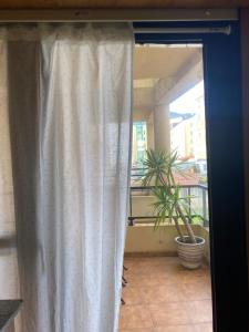 a window with a curtain in a room with a plant at Acogedor apartamento con terraza in Cedeira +1 photo