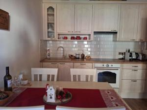 Kuchyň nebo kuchyňský kout v ubytování Apartmán Jezerné