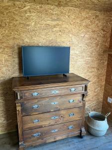 TV a/nebo společenská místnost v ubytování LE PIVERT, chalet confortable avec jardin à 100m du lac