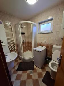 Koupelna v ubytování Apartman Anita
