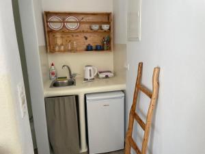 a small kitchen with a sink and a dishwasher at Theofanis on the beach in Agia Anna Naxos