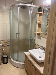 Ένα μπάνιο στο Vila Kopaonik Apartmani Milenkovic +98 φωτογραφίες