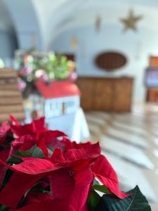 una flor roja sentada sobre una mesa en Hotel Rejs, en Ustka 89 fotos más
