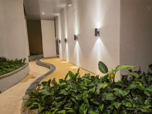 een gang met een heleboel planten en lampen bij Trizen J&J apat ment in Colombo